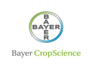 logo-bayer-1-300x225